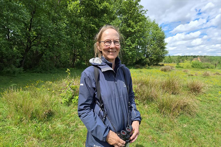 Liesbeth Bos