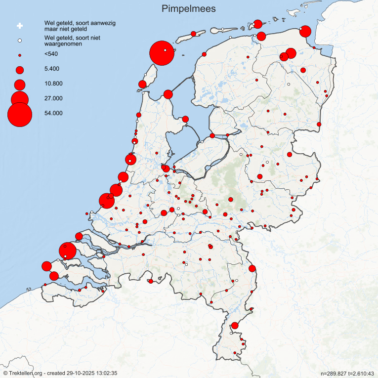 Figuur 1. Kaartbeeld van de getelde pimpelmezen op de trektelposten in Nederland, in periode 16 tot 29 oktober 2025. (Bron: trektellen.nl)