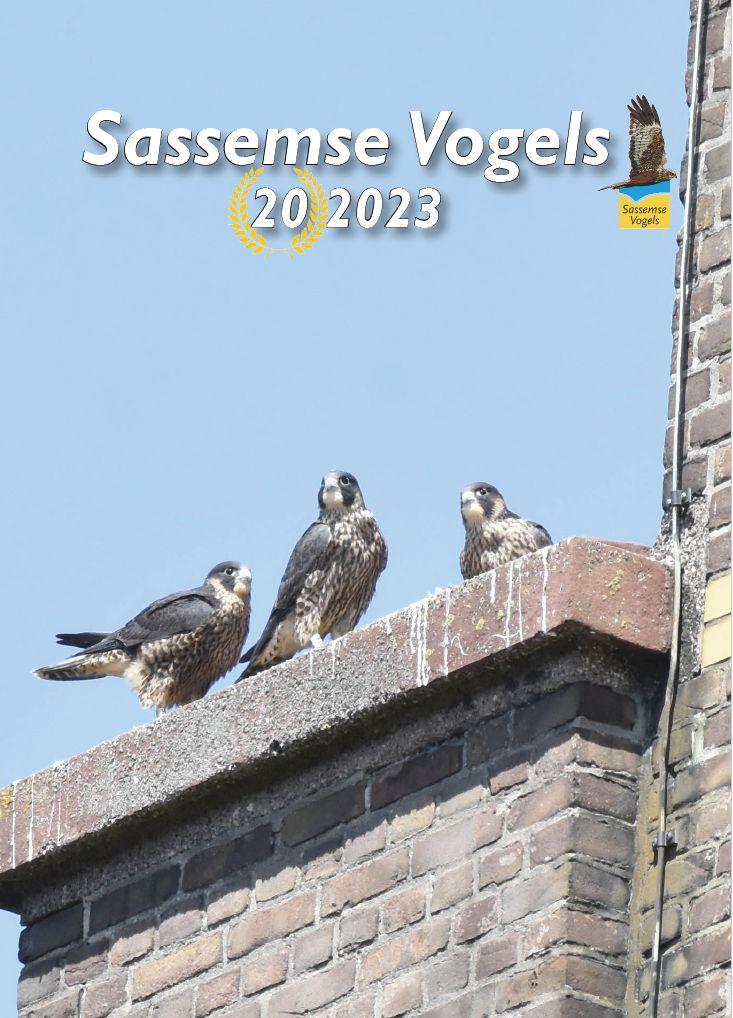 Sassemse Vogels