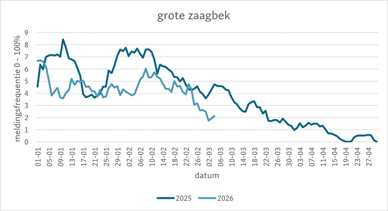 Meldingsfrequentie grote zaagbek