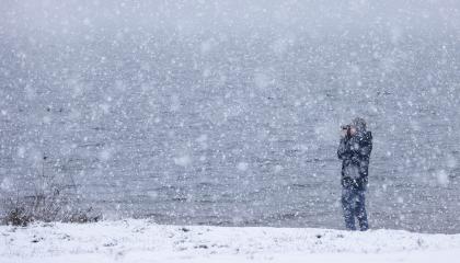 Watervogelteller in de sneeuw