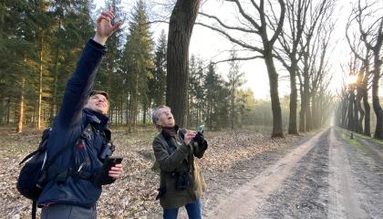 tellers in actie